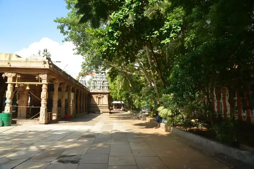 Arulmigu Mutheswarar Temple, Theppakulam West, Madurai - 625009 அருள்மிகு முத்தீஸ்வரர் திருக்கோயில், தெப்பக்குளம் மேற்கு, மதுரை - 625009, Madurai - Ancient Temple Architecture and History Image 4