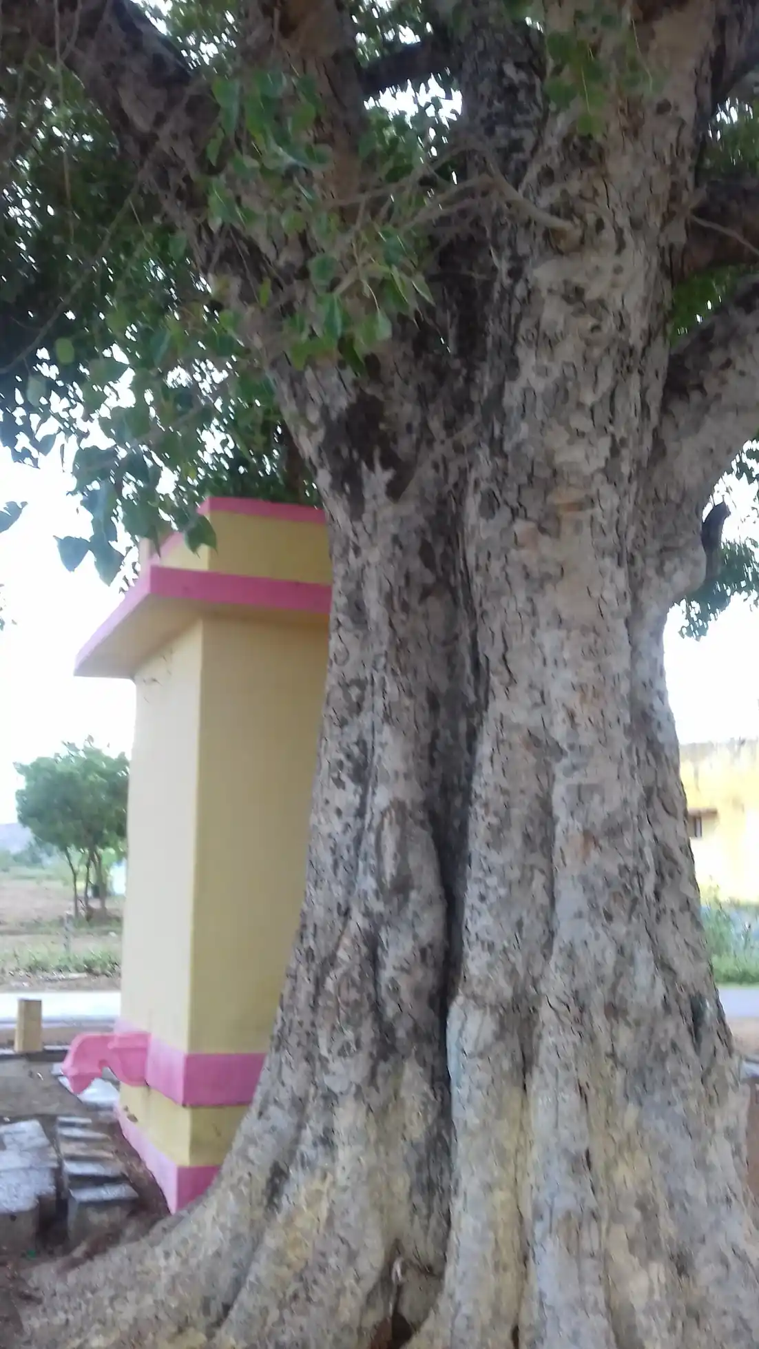 Arulmigu Muthiah Vinayagar Temple, Edge Of The Road, Veerasigamani - 627862 அருள்மிகு முத்துவிநாயகர் திருக்கோயில், Edge Of The Road, Veerasigamani - 627862, Tenkasi - Ancient Temple Architecture and History Image 3