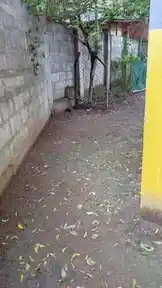 Arulmigu Muthiyalamman Temple, Vengatapuram - 600072