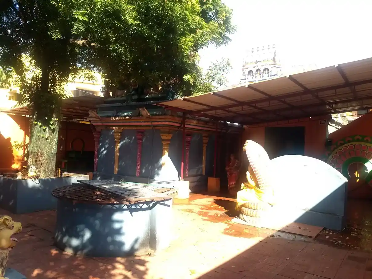 Arulmigu Muththu Mariyamman Temple, Chengalpattu - 603001 அருள்மிகு முத்துமாரியம்மன் திருக்கோயில், Chengalpattu - 603001, Chengalpattu - Ancient Temple Architecture and History Image 2