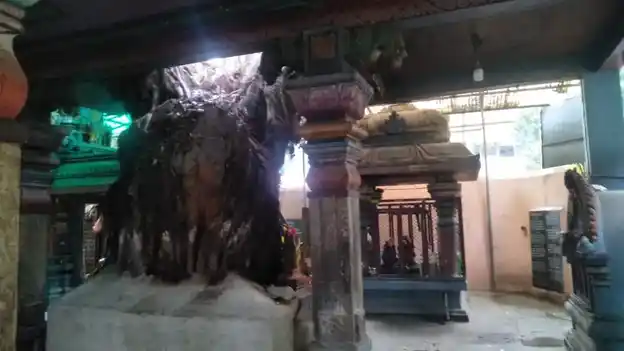 Arulmigu Muthu Mariyamman Temple, K.K.Nagar, Chennai - 600078 அருள்மிகு முத்துமாரியம்மன் திருக்கோயில், கே.கே.நகர், சென்னை - 600078, Chennai - Ancient Temple Architecture and History Image 4