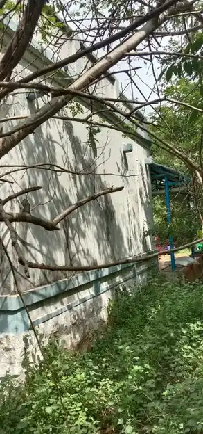 Arulmigu Muthu Meenatchimadam Temple, Alalichipatti - 625109 அருள்மிகு முத்து மீனாட்சி மடம், Alalichipatti - 625109, Madurai - Ancient Temple Architecture and History Image 4