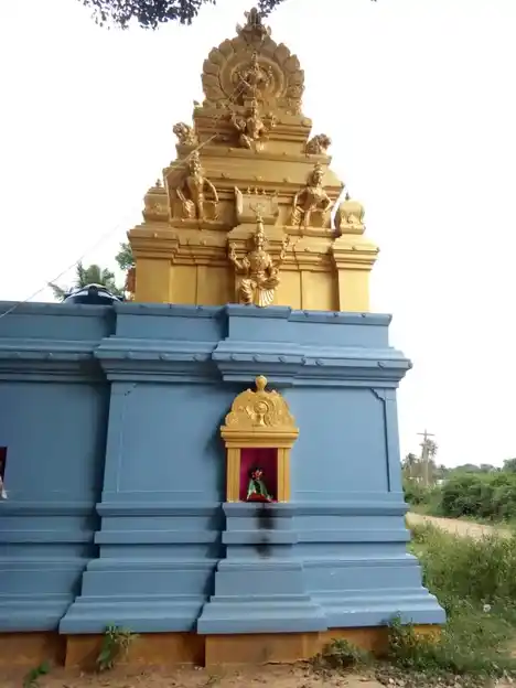 Arulmigu Muthukolakkiyamman Temple, Puthagaram - 631604 அருள்மிகு முத்துகொலக்கியம்மன் வகையறா திருக்கோயில், Puthagaram - 631604, Kancheepuram - Ancient Temple Architecture and History Image 3