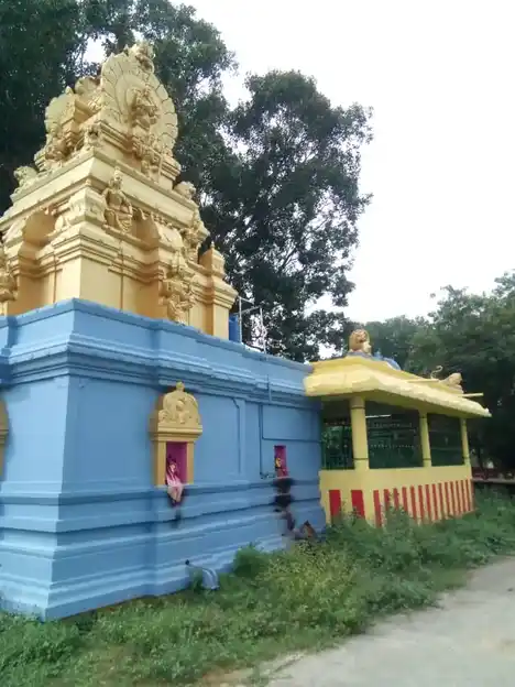 Arulmigu Muthukolakkiyamman Temple, Puthagaram - 631604 அருள்மிகு முத்துகொலக்கியம்மன் வகையறா திருக்கோயில், Puthagaram - 631604, Kancheepuram - Ancient Temple Architecture and History Image 4