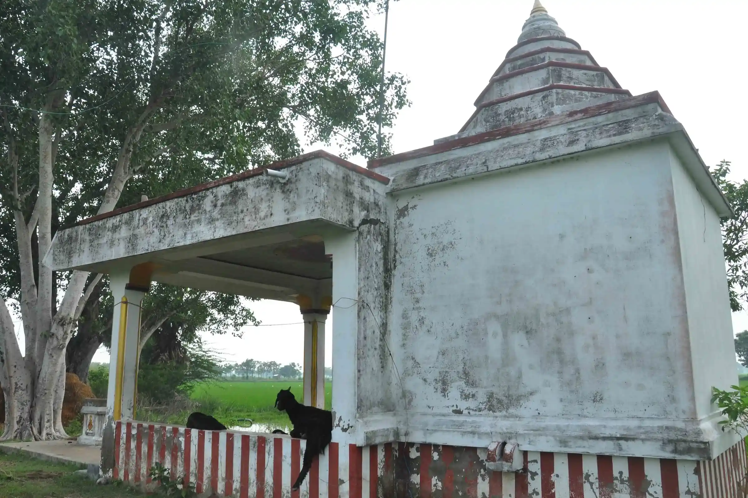 Arulmigu Muthukrishnaswamy Bhajanai Madam, Sethur - 609402 அருள்மிகு முத்துக்கிருஷ்ண சுவாமி பஜனை மடம், Sethur - 609402, Mayiladuthurai - Ancient Temple Architecture and History Image 7