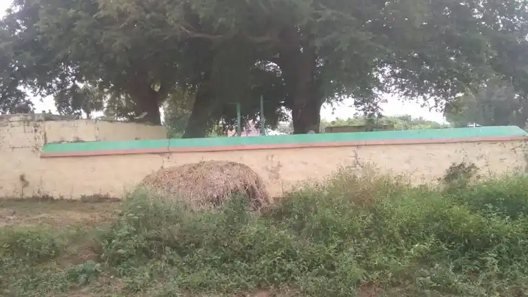 Arulmigu Muthukumaraswamy Temple, Saana Nathal - 606903