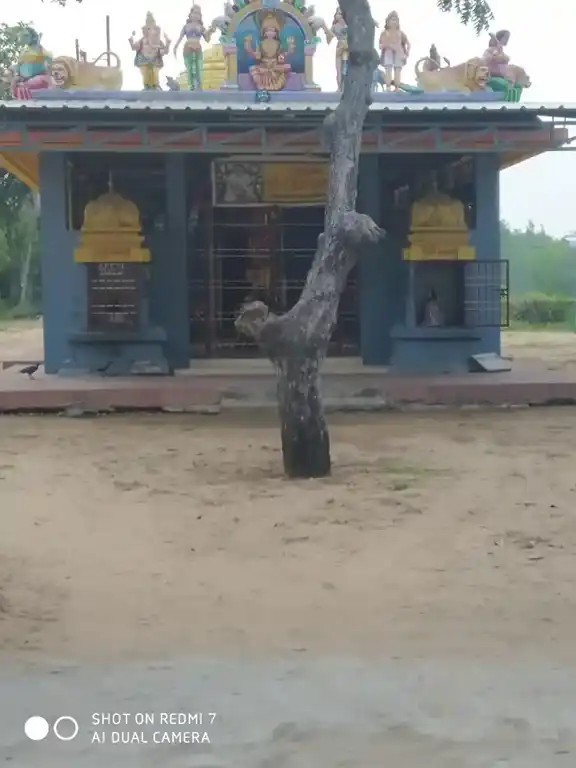 Arulmigu Muthumariamman Temple, Devanampattinam, Cuddalore - 607001 அருள்மிகு முத்துமாரியம்மன் கோயில், Devanampattinam, Cuddalore - 607001, Cuddalore - Ancient Temple Architecture and History Image 3