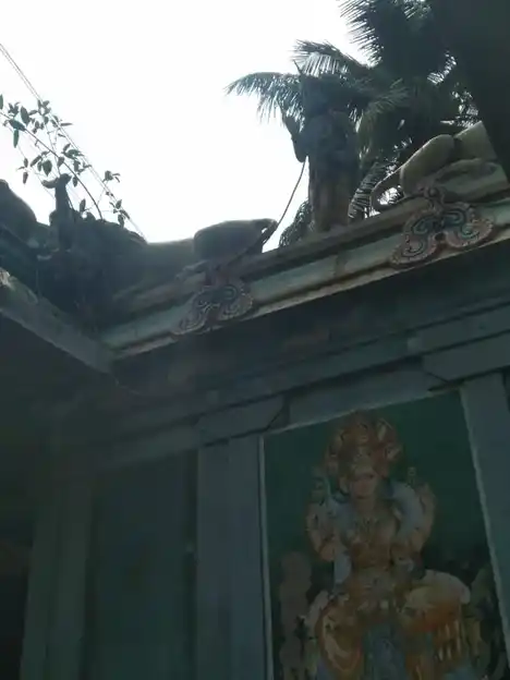 Arulmigu Muthumariamman Temple, Karaikadu - 607003 அருள்மிகு முத்துமாரியம்மன் திருக்கோயில், Karaikadu - 607003, Cuddalore - Ancient Temple Architecture and History Image 4