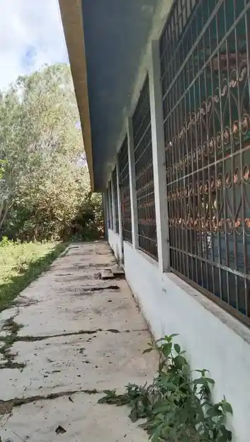 Arulmigu Muthumariamman Temple, Melathulasendrapuram - 614019 அருள்மிகு முத்துமாரியம்மன் திருக்கோயில், Melathulasendrapuram, Melathulasendrapuram - 614019, Thiruvarur - Ancient Temple Architecture and History Image 3