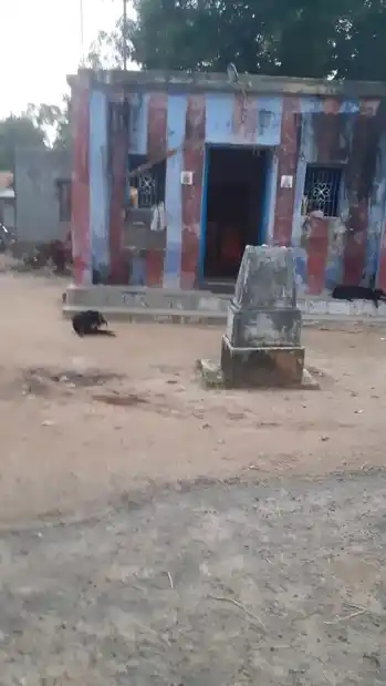 Arulmigu Muthumariamman Temple, Naduvur Moolakkarai - 628601 அருள்மிகு முத்தாறம்மன் திருக்கோயில், நடுவூர் மூலக்கரை - 628601, Thoothukudi - Ancient Temple Architecture and History Image 6