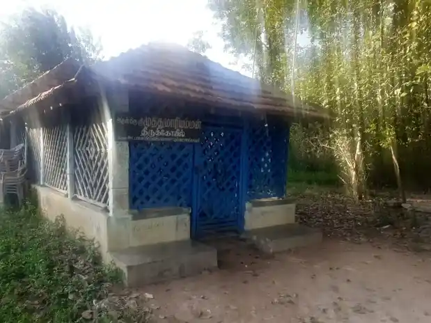 Arulmigu Muthumariyamman And Vinayagar Temple, Union Office Near, Alamballam - 614901 அருள்மிகு முத்துமாரியம்மன் மற்றும் விநாயகர் திருக்கோயில், Union Office Near, Alamballam - 614901, Thanjavur - Ancient Temple Architecture and History Image 2