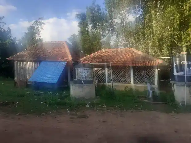 Arulmigu Muthumariyamman And Vinayagar Temple, Union Office Near, Alamballam - 614901 அருள்மிகு முத்துமாரியம்மன் மற்றும் விநாயகர் திருக்கோயில், Union Office Near, Alamballam - 614901, Thanjavur - Ancient Temple Architecture and History Image 3