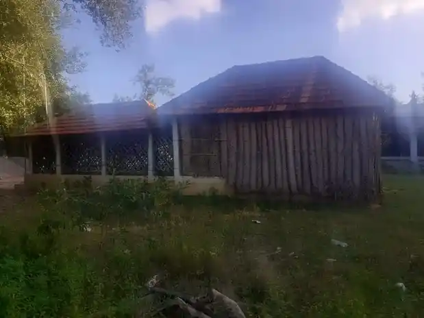 Arulmigu Muthumariyamman And Vinayagar Temple, Union Office Near, Alamballam - 614901 அருள்மிகு முத்துமாரியம்மன் மற்றும் விநாயகர் திருக்கோயில், Union Office Near, Alamballam - 614901, Thanjavur - Ancient Temple Architecture and History Image 4