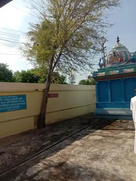 Arulmigu Muthumariyamman Temple, Kasankadu - 614613 அருள்மிகு முத்துமாரியம்மன் மற்றும் காசிவிஸ்வநாதர் திருக்கோயில், Kasankadu - 614613, Thanjavur - Ancient Temple Architecture and History Image 3
