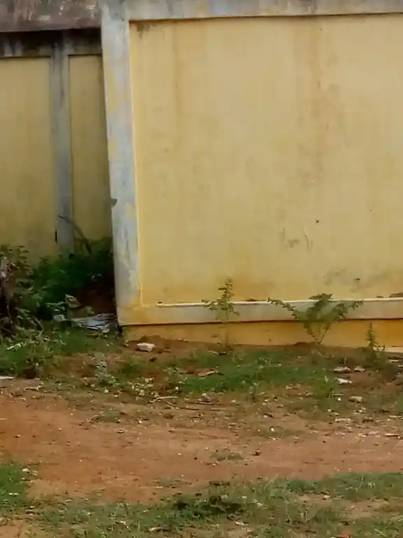 Arulmigu Muthumariyamman Temple, Raasipuram - 622404 அருள்மிகு முத்துமாரியம்மன் திருக்கோயில், ராசிபுரம் - 622404, Pudukkottai - Ancient Temple Architecture and History Image 2