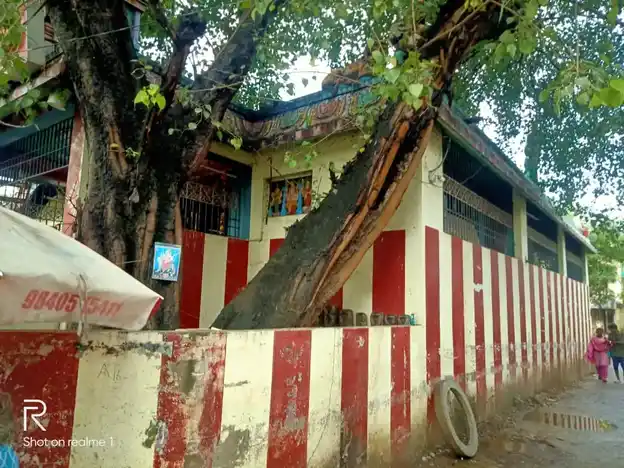 Arulmigu Muthumariyamman Temple, Velacerry, Chennai - 600042