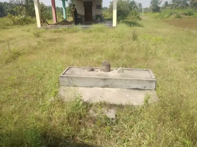 Arulmigu Muthupidariamman Temple, Talihalli - 635112 அருள்மிகு முத்து பிடாரியம்மன் திருக்கோயில், தளிஅள்ளி - 635112, Krishnagiri - Ancient Temple Architecture and History Image 3