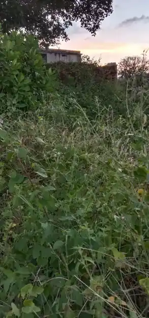 Arulmigu Muthuraya Swamy Temple, Bommadadanur - 635113 Temple