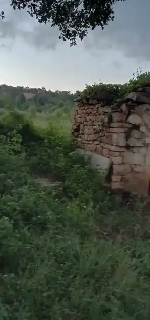 Arulmigu Muthuraya Swamy Temple, Bommadadanur - 635113 அருள்மிகு முத்துராயசாமி திருக்கோயில், Bommadadanur - 635113, Krishnagiri - Ancient Temple Architecture and History Image 2