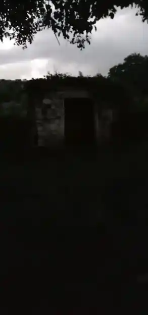 Arulmigu Muthuraya Swamy Temple, Bommadadanur - 635113 அருள்மிகு முத்துராயசாமி திருக்கோயில், Bommadadanur - 635113, Krishnagiri - Ancient Temple Architecture and History Image 4