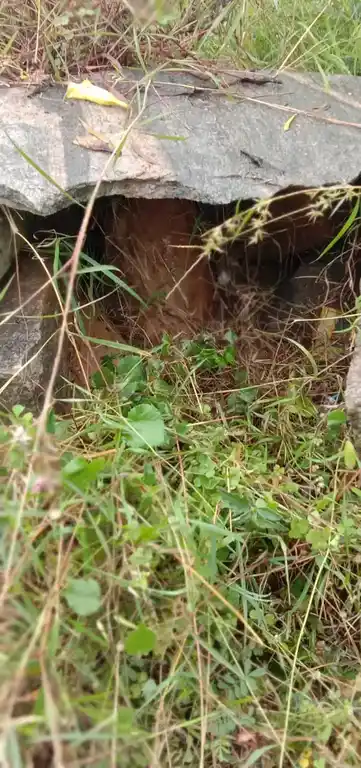Arulmigu Muthurayaswamy Temple, Uliyalam - 635103 Temple