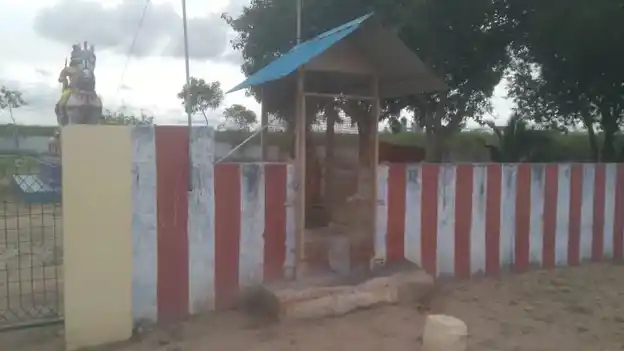 Arulmigu Muthusamy Temple, Tharuvaikkulam - 628718 அருள்மிகு முத்துசுவாமி திருக்கோயில், Tharuvaikkulam - 628718, Thoothukudi - Ancient Temple Architecture and History Image 4