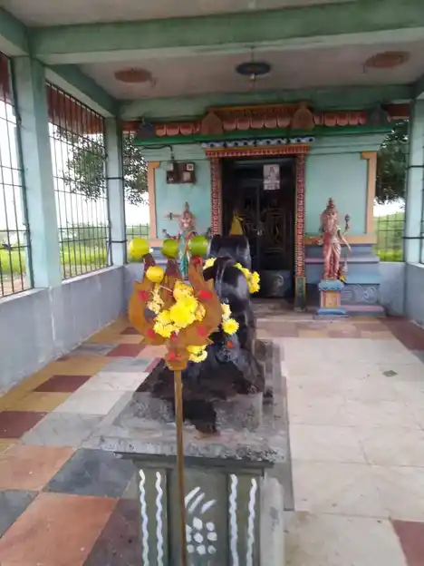 Arulmigu Muthuthallamman Temple, Palanjur - 600123 அருள்மிகு முத்தாலம்மன் திருக்கோயில், Palanjur - 600123, Tiruvallur - Ancient Temple Architecture and History Image 3