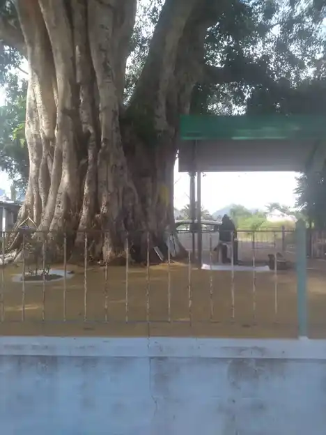 Arulmigu Muthuvinayagar Temple, Chennampatti - 638504 Temple