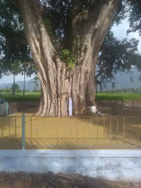 Arulmigu Muthuvinayagar Temple, Chennampatti - 638504 அருள்மிகு முத்துவிநாயகர் திருக்கோயில், Chennampatti - 638504, Erode - Ancient Temple Architecture and History Image 3