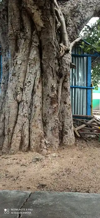 Arulmigu Muthuvinayagar Temple, Puthanatham - 621305 Arulmigu MuthuVinayagar Temple, Puthanatham - 621305, Thiruchirappalli - Ancient Temple Architecture and History Image 3