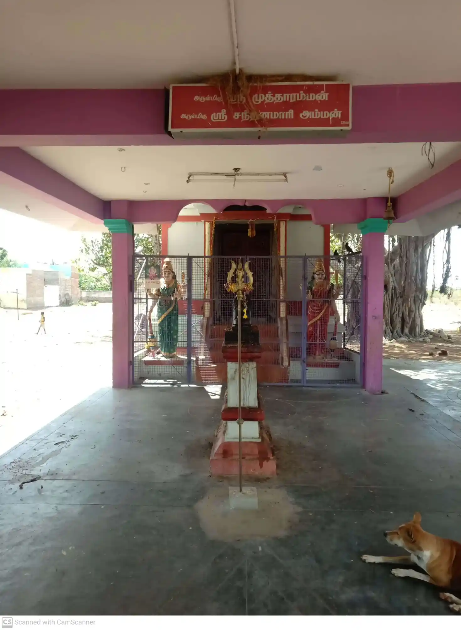 Arulmigu Muttharaman Temple, Keelakatthudankadu - 628005 அருள்மிகு முத்தாரம்மன் திருக்கோயில், Keelakatthudankadu - 628005, Thoothukudi - Ancient Temple Architecture and History Image 3
