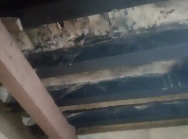 Arulmigu Muttharaman Temple, Selvanpudiyanur - 628207 அருள்மிகு முத்தாரம்மன் திருக்கோயில், Selvanpudiyanur - 628207, Thoothukudi - Ancient Temple Architecture and History Image 2