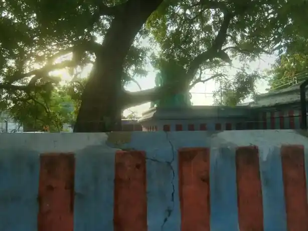 Arulmigu Muttharaman Temple, Srivaikundam - 628601 அருள்மிகு முத்தாரம்மன் திருக்கோயில், Srivaikundam - 628601, Thoothukudi - Ancient Temple Architecture and History Image 4