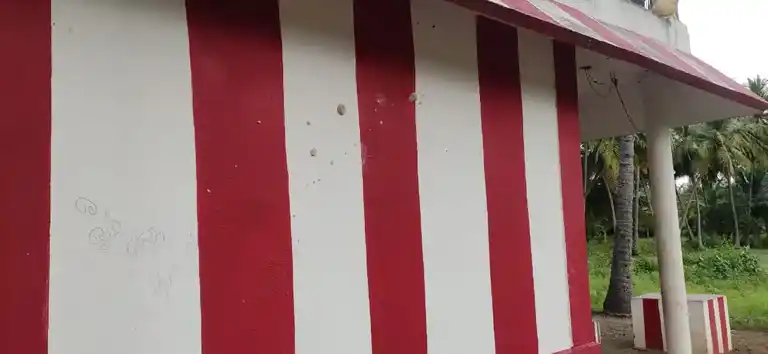 Arulmigu Naagalamman Temple, Irunapattu - 635702 அருள்மிகு நாகாலம்மன் திருக்கோயில், இருனாப்பட்டு - 635702, Thirupathur - Ancient Temple Architecture and History Image 4