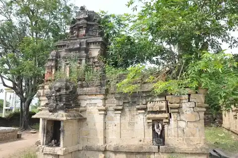 Arulmigu Naaganatheeswarar Temple, Narasingamangalam - 606105 அருள்மிகு நாகநாதீஸ்வரர் திருக்கோயில், Narasingamangalam - 606105, Cuddalore - Ancient Temple Architecture and History Image 6