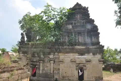 Arulmigu Naaganatheeswarar Temple, Narasingamangalam - 606105 அருள்மிகு நாகநாதீஸ்வரர் திருக்கோயில், Narasingamangalam - 606105, Cuddalore - Ancient Temple Architecture and History Image 8