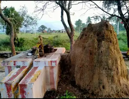 Arulmigu Naagar Temple, Ayakudi - 624613 அருள்மிகு நாகர் திருக்கோயில், Ayakudi - 624613, Dindigul - Ancient Temple Architecture and History Image 2