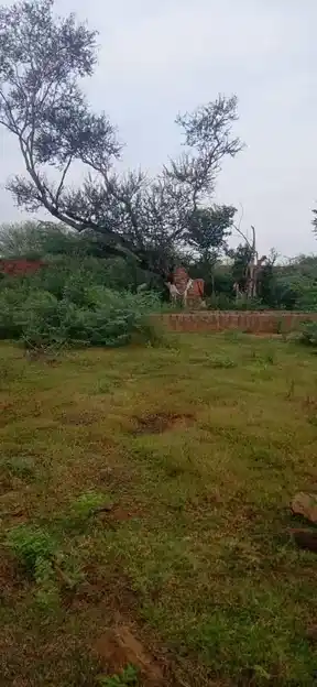 Arulmigu Naayanmaar Temple, Poiyaamani - 621316 அருள்மிகு நாயன்மார் திருக்கோயில், பொய்யாமணி - 621316, Pudukkottai - Ancient Temple Architecture and History Image 5