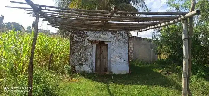 Arulmigu Nachiamman Temple, Bargur - 638501 Temple