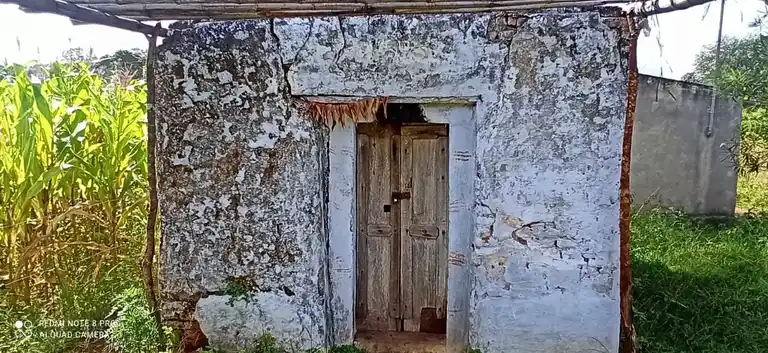 Arulmigu Nachiamman Temple, Bargur - 638501 அருள்மிகு நாச்சியம்மன் திருக்கோயில்,  - 638501, Erode - Ancient Temple Architecture and History Image 2