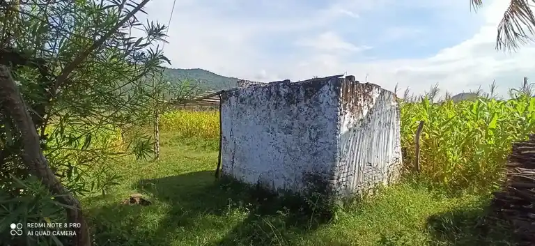 Arulmigu Nachiamman Temple, Bargur - 638501 அருள்மிகு நாச்சியம்மன் திருக்கோயில்,  - 638501, Erode - Ancient Temple Architecture and History Image 3