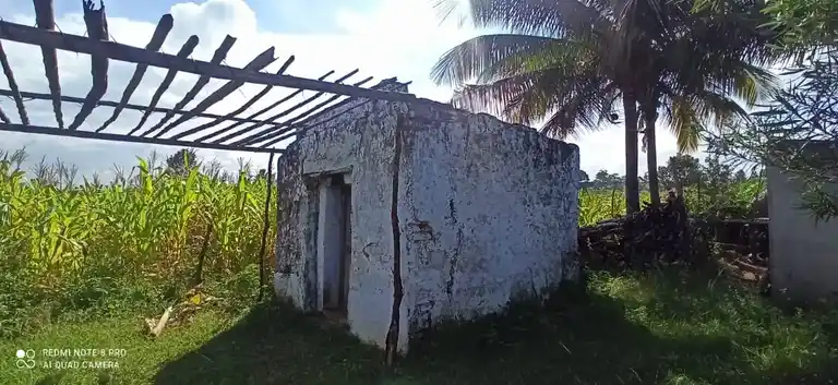 Arulmigu Nachiamman Temple, Bargur - 638501 அருள்மிகு நாச்சியம்மன் திருக்கோயில்,  - 638501, Erode - Ancient Temple Architecture and History Image 4