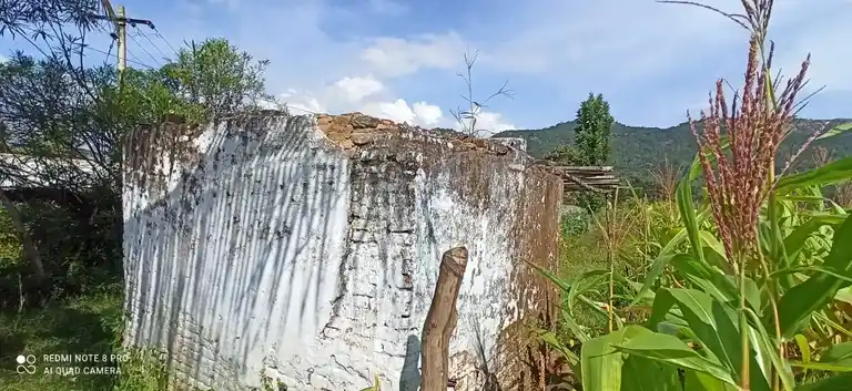 Arulmigu Nachiamman Temple, Bargur - 638501 அருள்மிகு நாச்சியம்மன் திருக்கோயில்,  - 638501, Erode - Ancient Temple Architecture and History Image 5