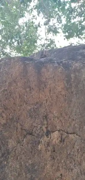 Arulmigu Nachiaramman Temple, Idayakotai - 624704 அருள்மிகு நாச்சியாரம்மன் திருக்கோயில், Idayakotai - 624704, Dindigul - Ancient Temple Architecture and History Image 3