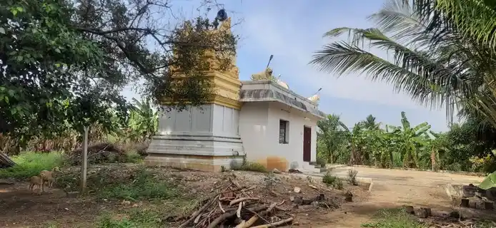 Arulmigu Nachimar Temple, Kadappanallur - 638315 அருள்மிகு நாச்சிமார் திருக்கோயில், Kadappanallur - 638315, Erode - Ancient Temple Architecture and History Image 3