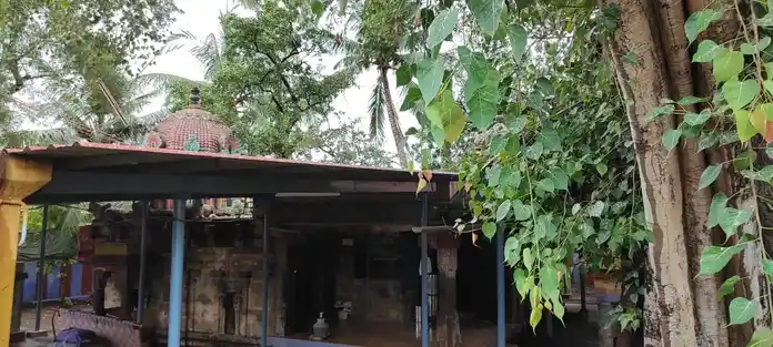 Arulmigu Nachimaramman Temple, Kallappalli - 639105