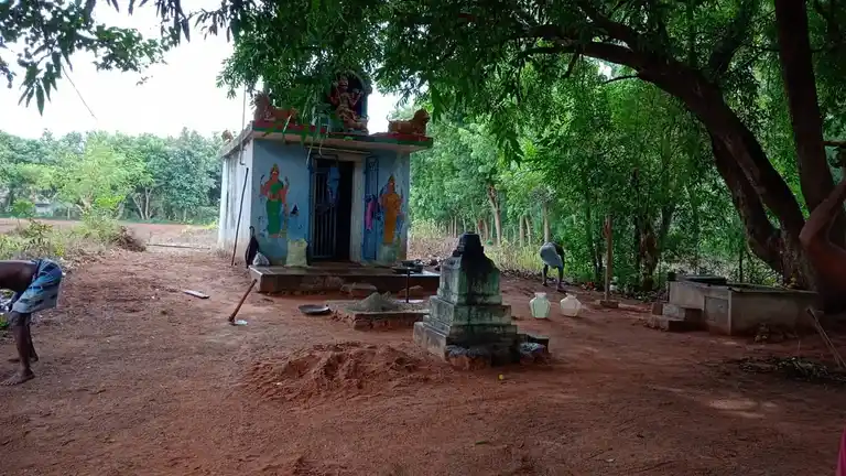 Arulmigu Nachiyar Temple, Mannuzhi - 621705 Temple