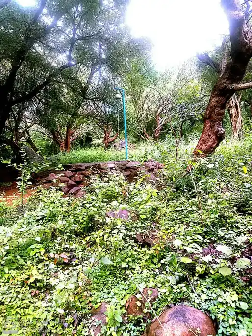 Arulmigu Nachiyar Temple, Naducombai - 637404 அருள்மிகு நாச்சிமார் திருக்கோயில், Naducombai - 637404, Namakkal - Ancient Temple Architecture and History Image 3