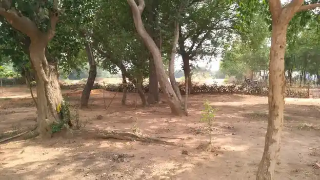 Arulmigu Nachiyaramman Temple, Parugal - 621804 அருள்மிகு நாச்சியரம்மன் திருக்கோயில், Parugal - 621804, Ariyalur - Ancient Temple Architecture and History Image 2