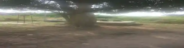 Arulmigu Nachiyarpatti Mariamman, Muthalapatti Nachiyaaramman Uccuvarpatti Vinayagar Temple, Natchiyarpatty - 624620 Arulmigu Nachiyarpatti Mariamman, Muthalapatti Nachiyaaramman Uccuvarpatti Vinayagar Temple, Natchiyarpatty - 624620, Dindigul - Ancient Temple Architecture and History Image 6